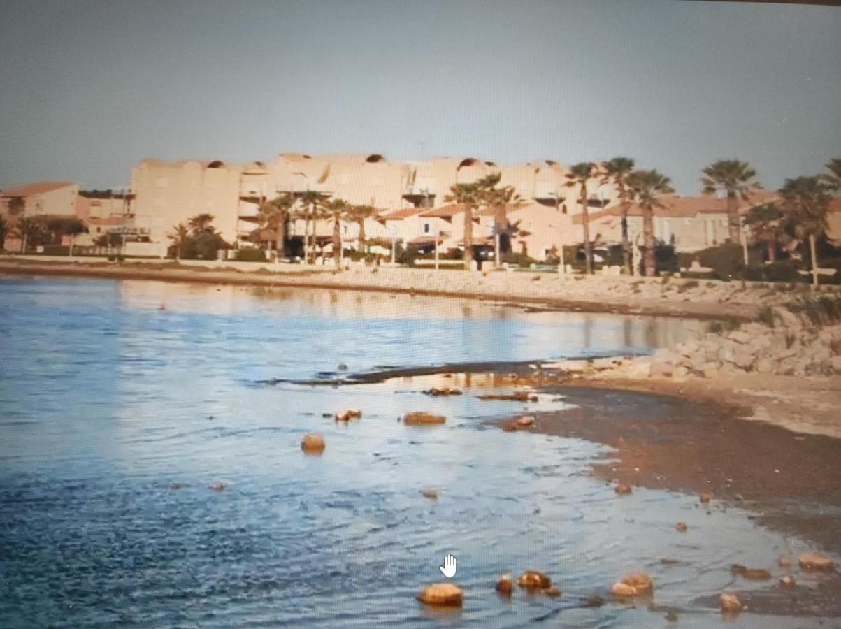 Appartement T3 Vue Sur Port جرْويسا المظهر الخارجي الصورة